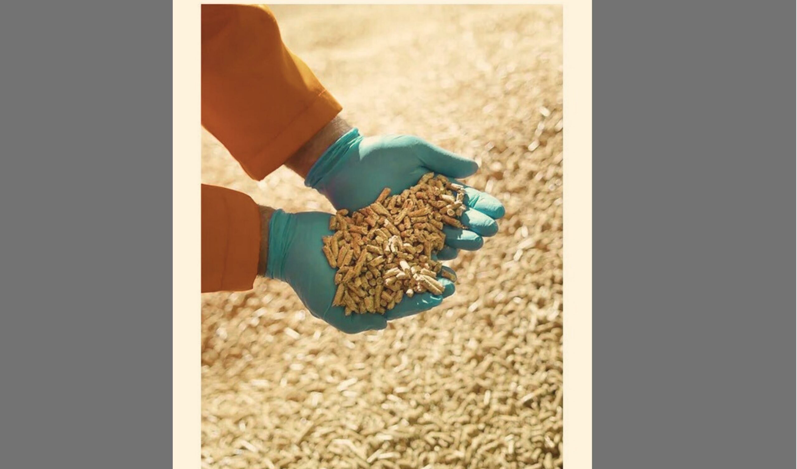Silica Sand in Agriculture, types de sable utilisé dans les potagers, wooden pallets " Biomass ", Silica Sand in Foundry Casting